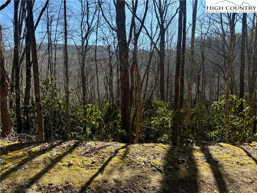Image number 1 for the current listing