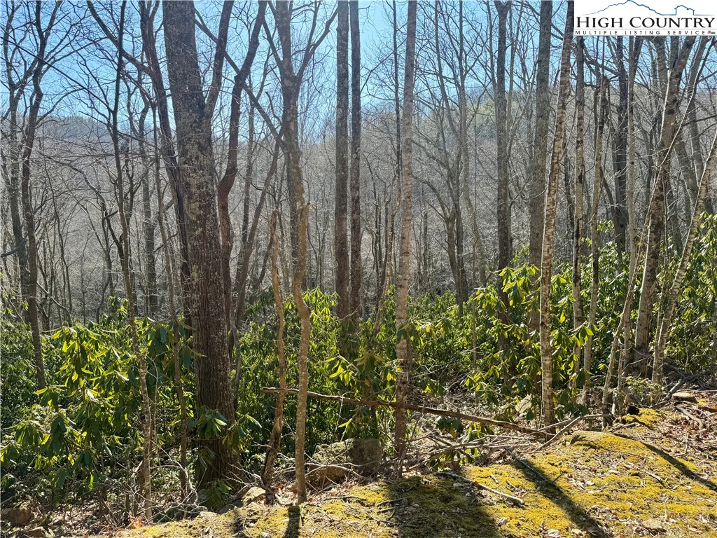 Image number 3 for the current listing