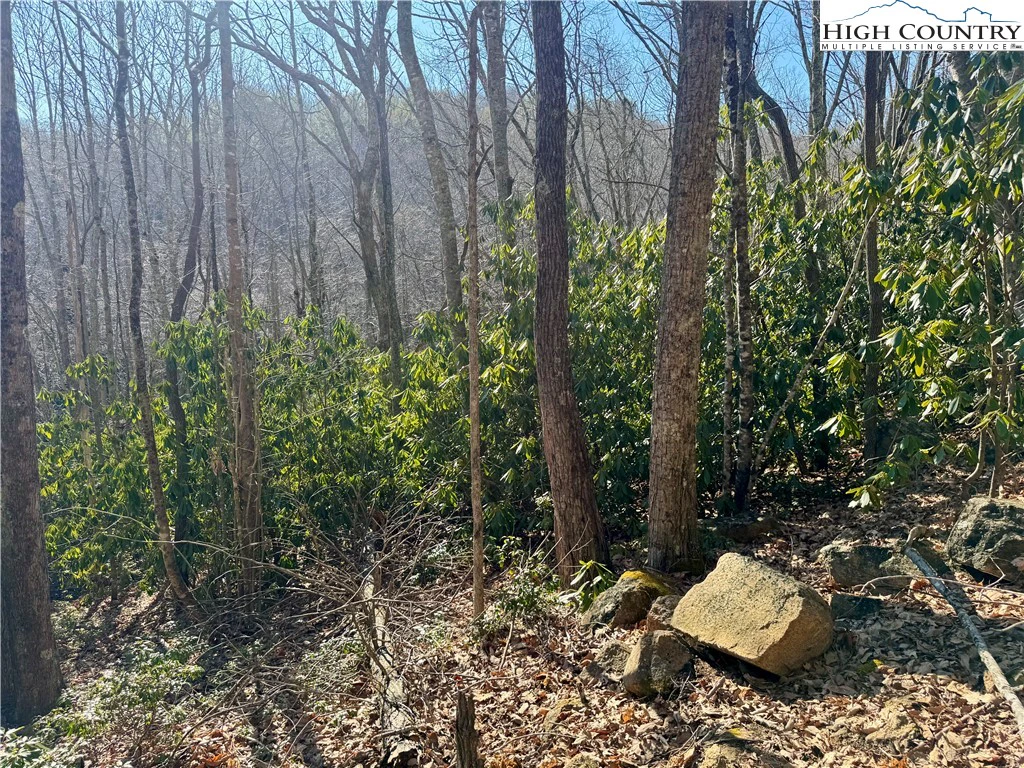 Image number 5 for the current listing