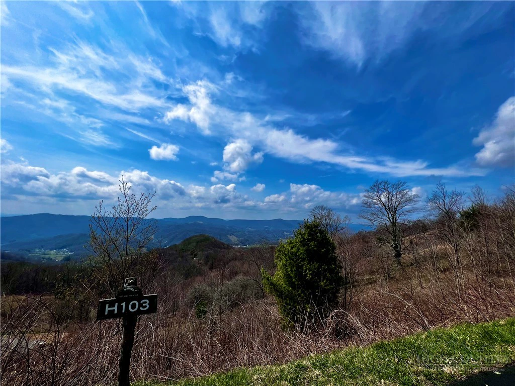 Image number 1 for the current listing