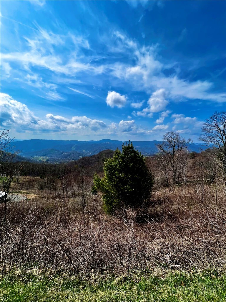Image number 2 for the current listing