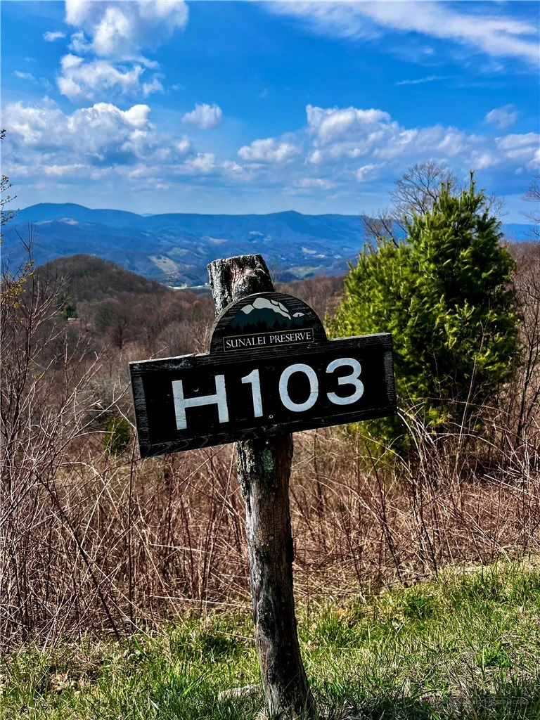 Image number 4 for the current listing