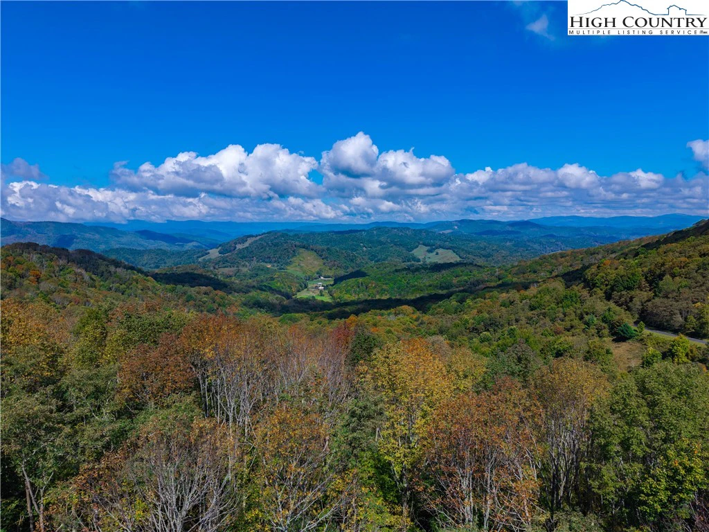 Image number 1 for the current listing