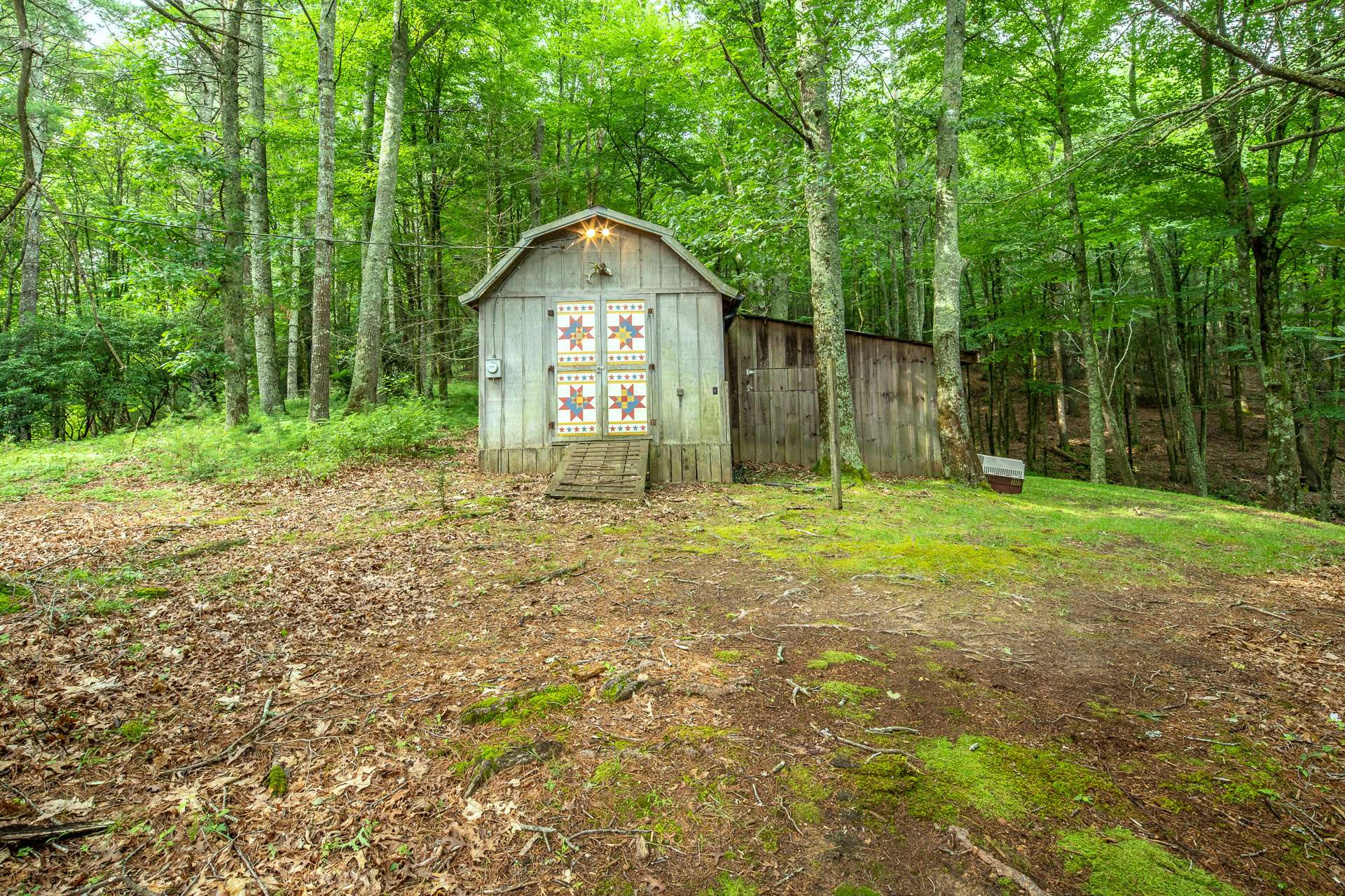 Image number 14 for the current listing