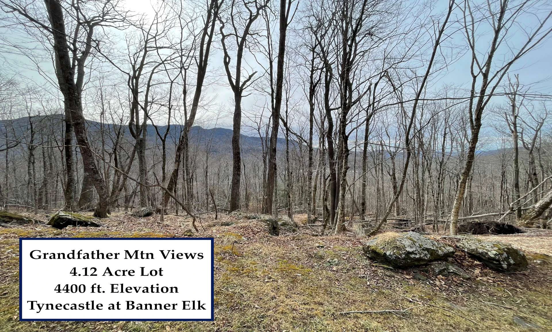 Image number 10 for the current listing