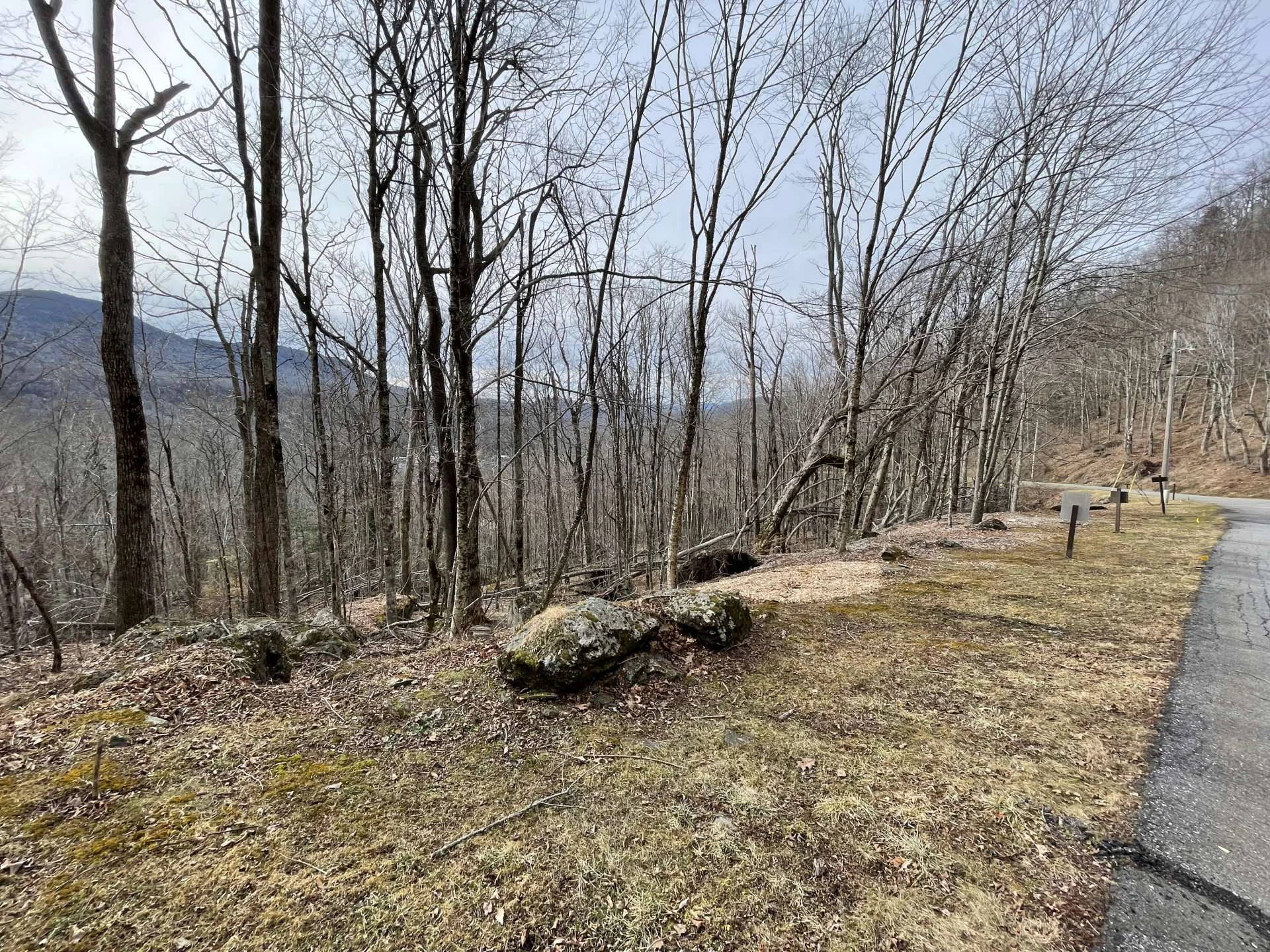 Image number 3 for the current listing