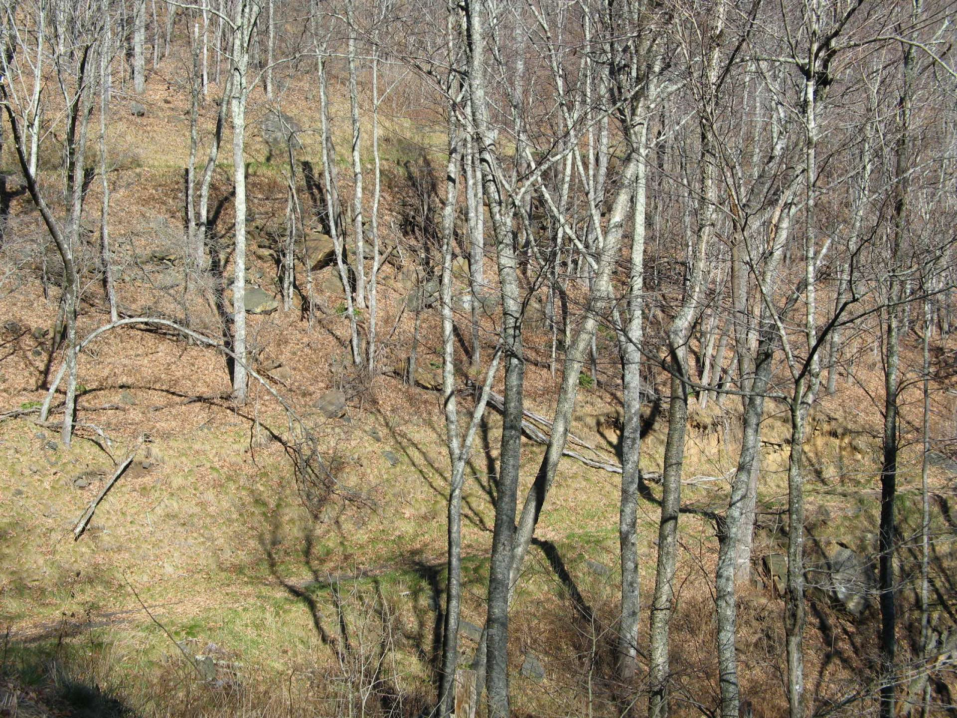 Image number 2 for the current listing