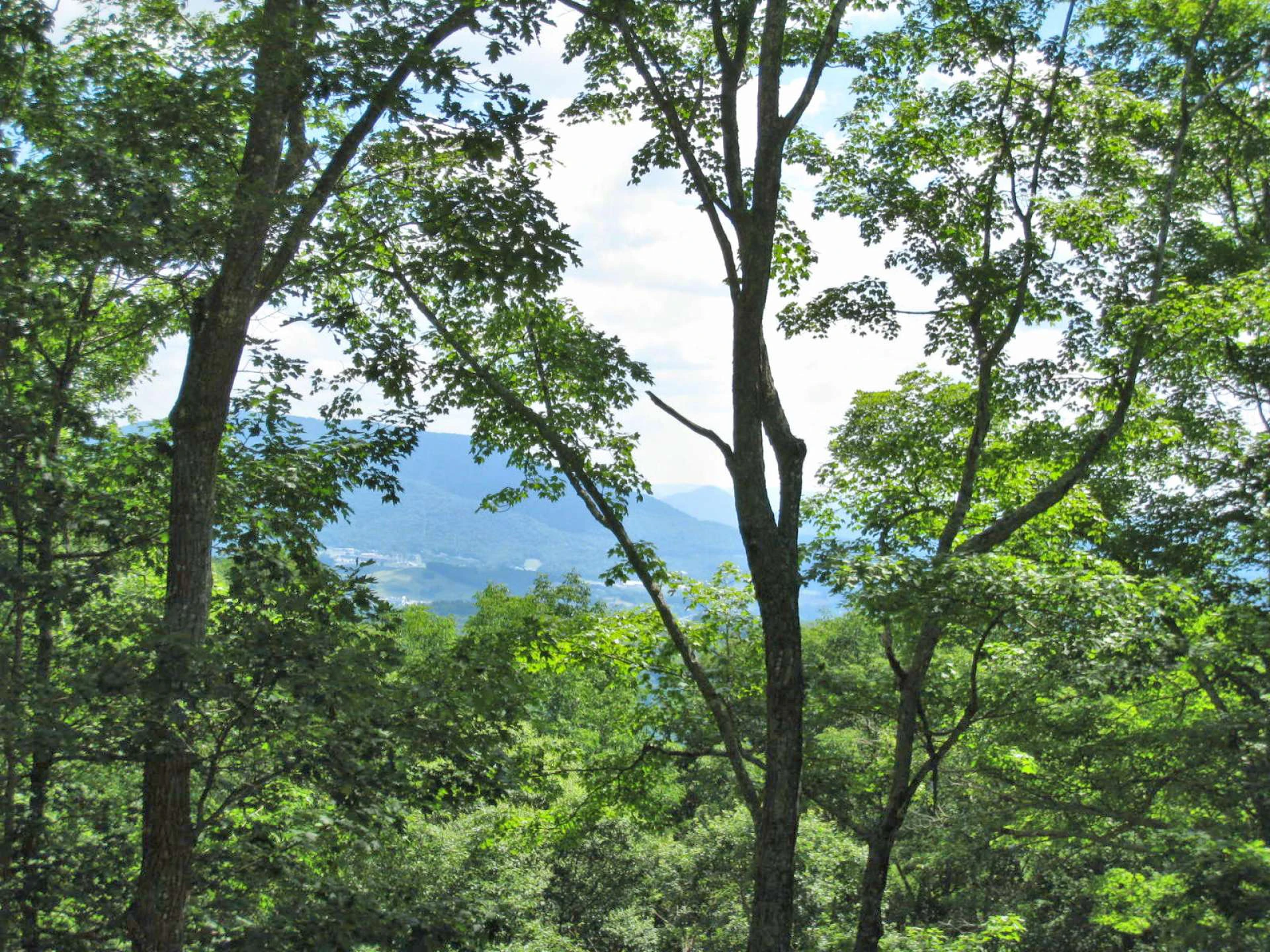 Image number 3 for the current listing
