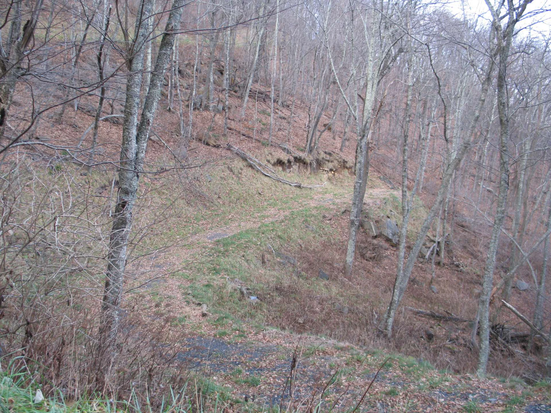 Image number 4 for the current listing