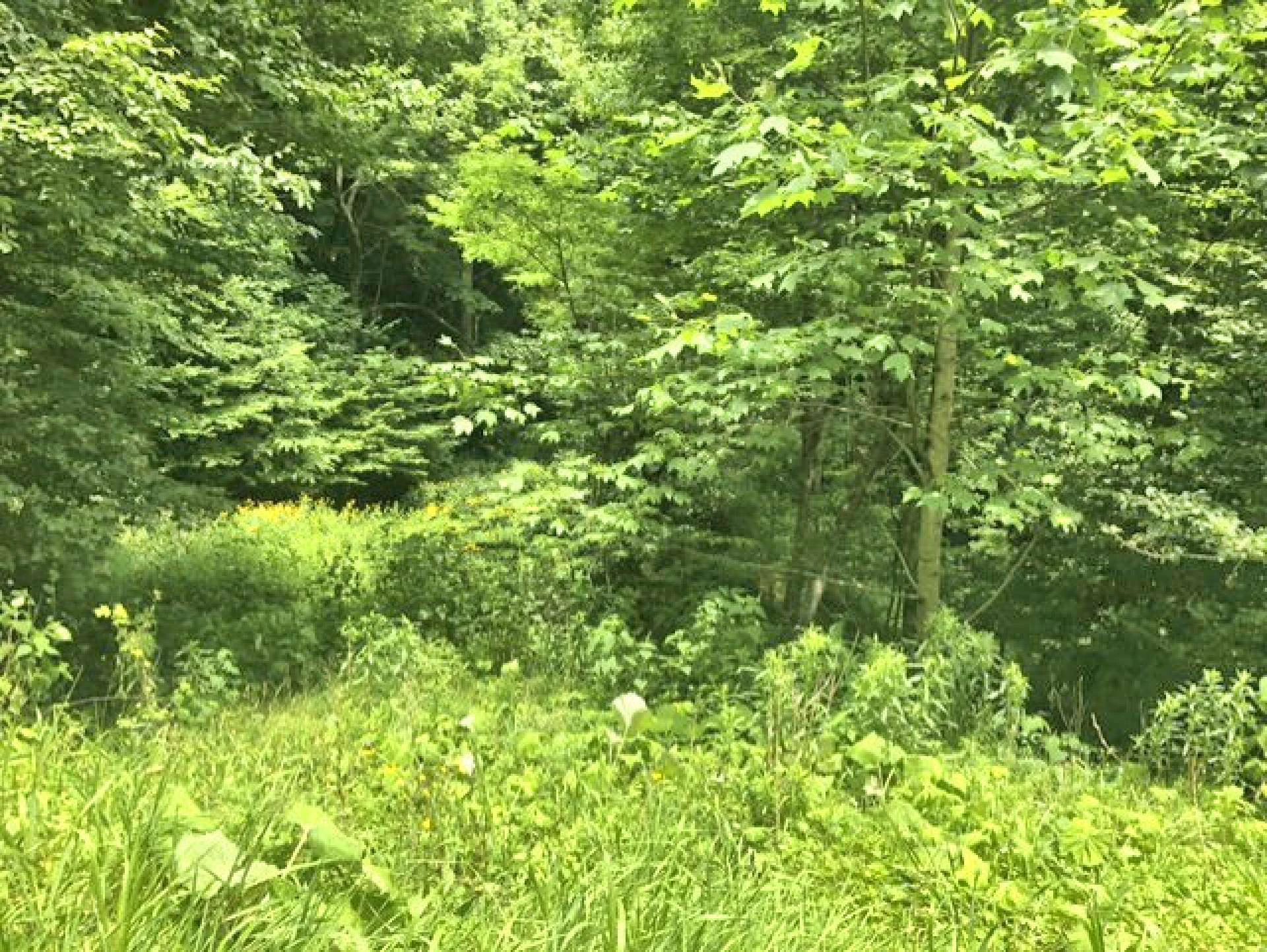 Image number 6 for the current listing