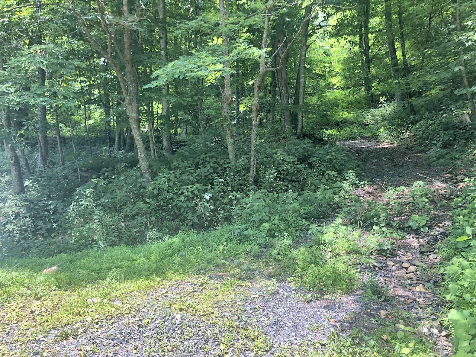 Image number 7 for the current listing
