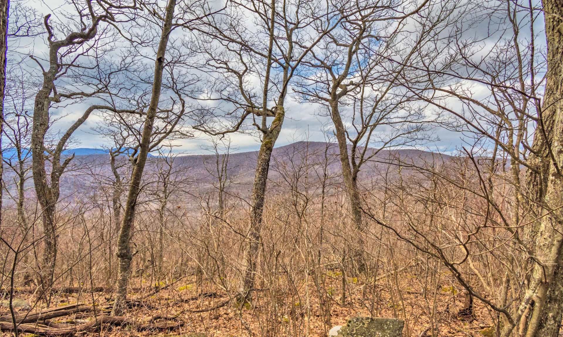 Image number 1 for the current listing