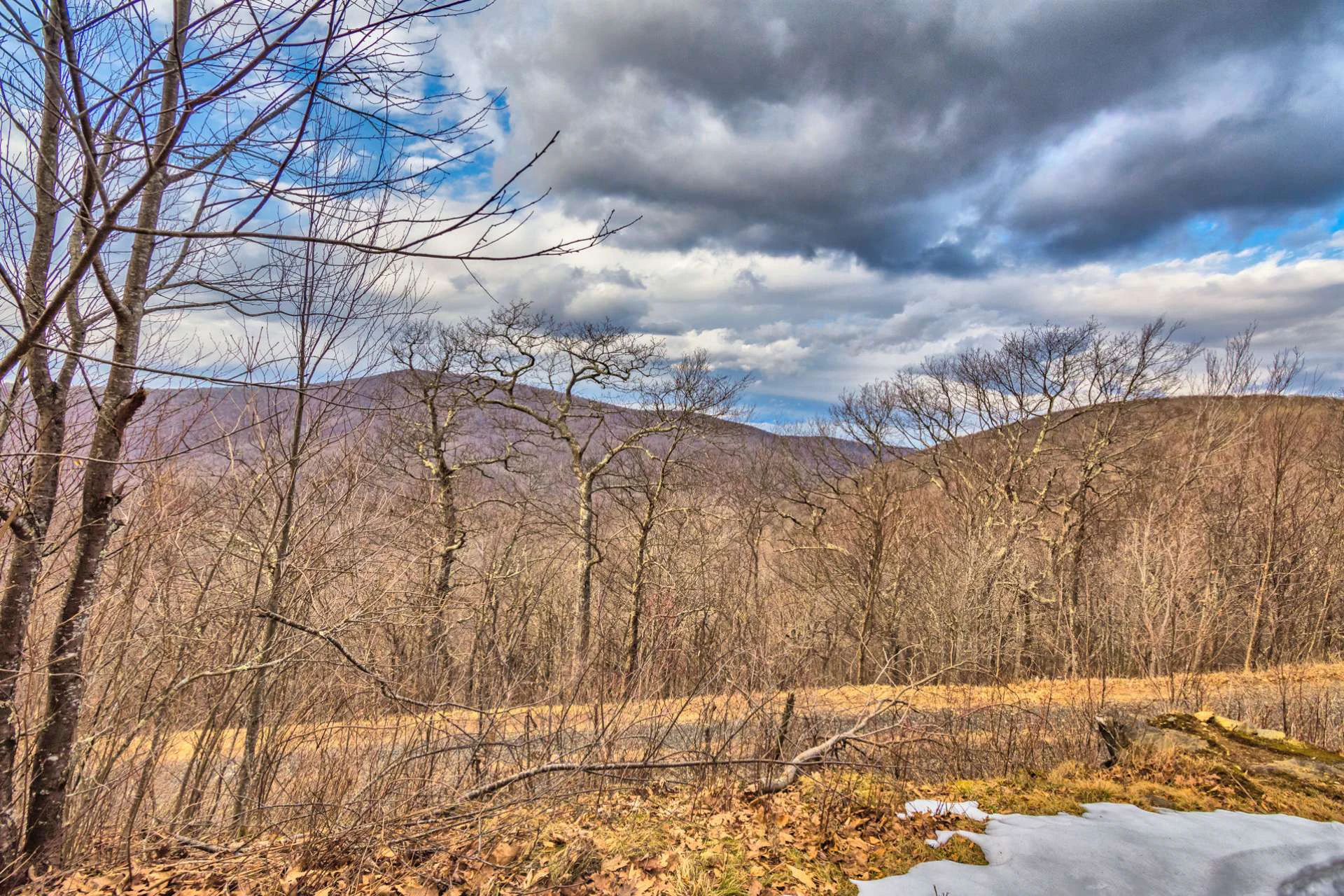 Image number 2 for the current listing