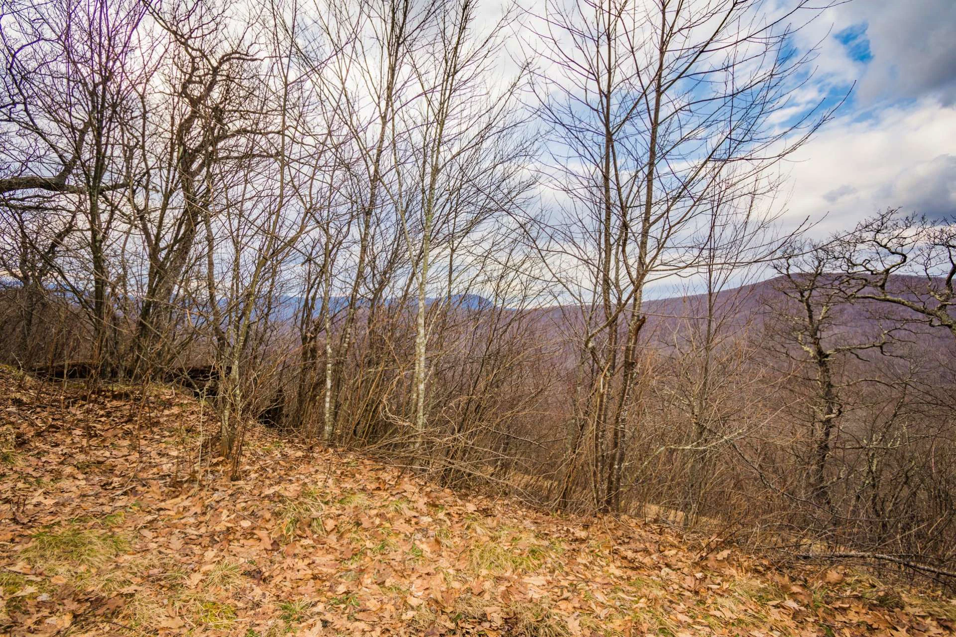 Image number 10 for the current listing