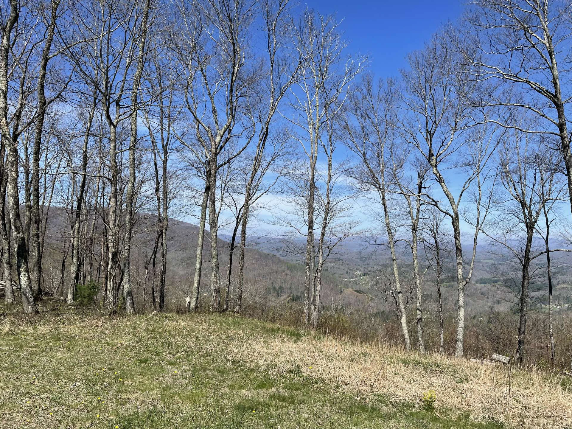 Image number 14 for the current listing