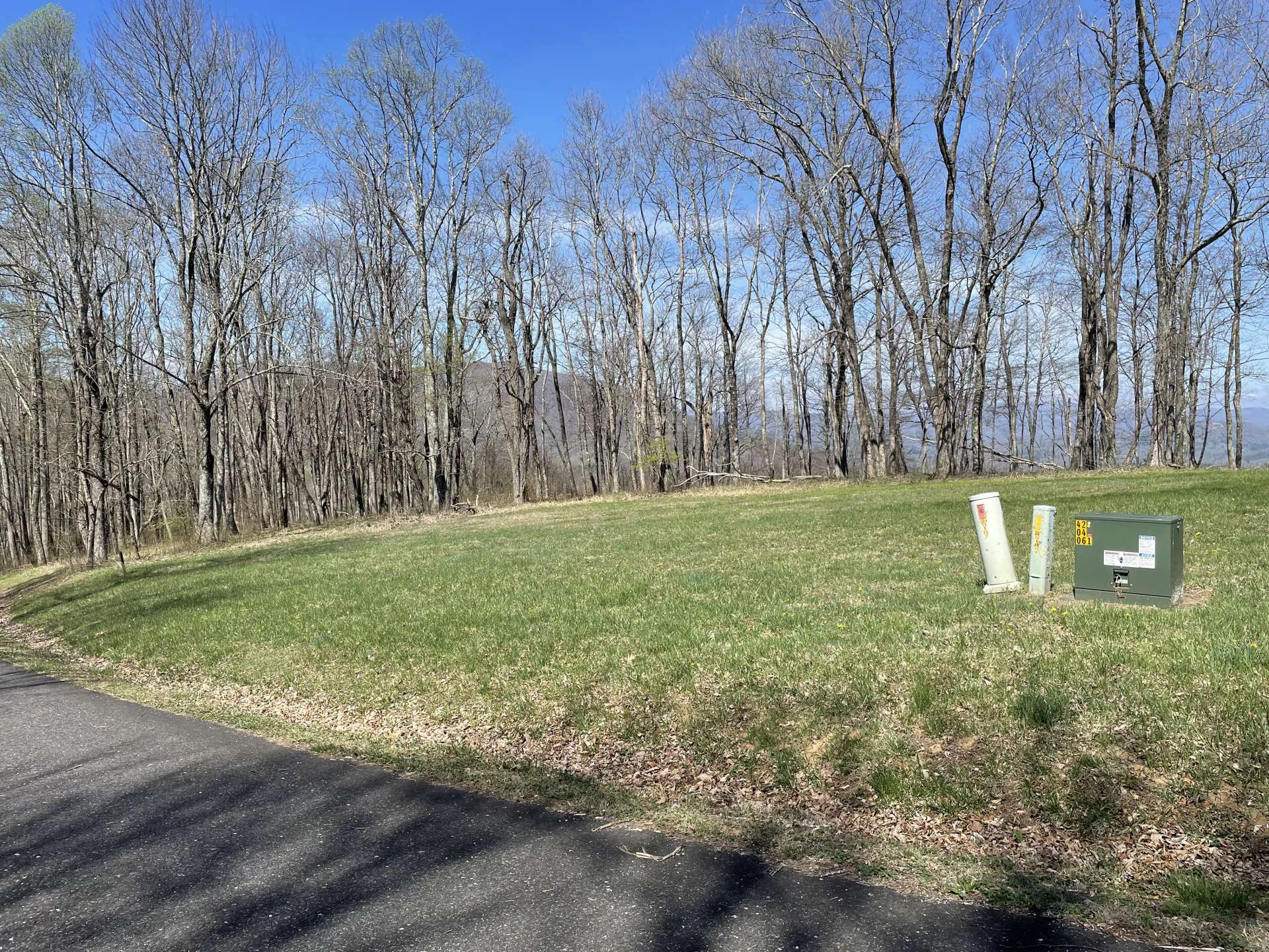 Image number 11 for the current listing