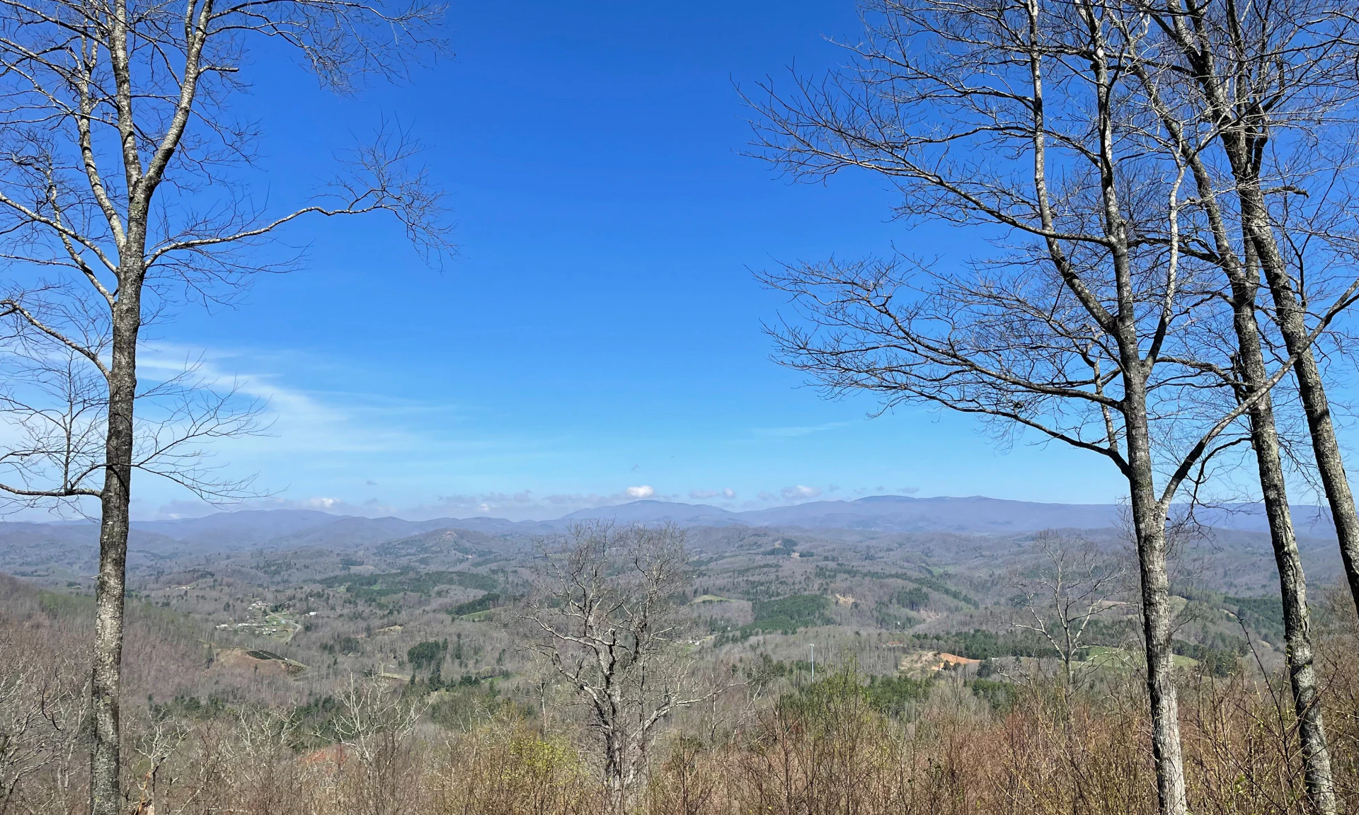 Image number 1 for the current listing