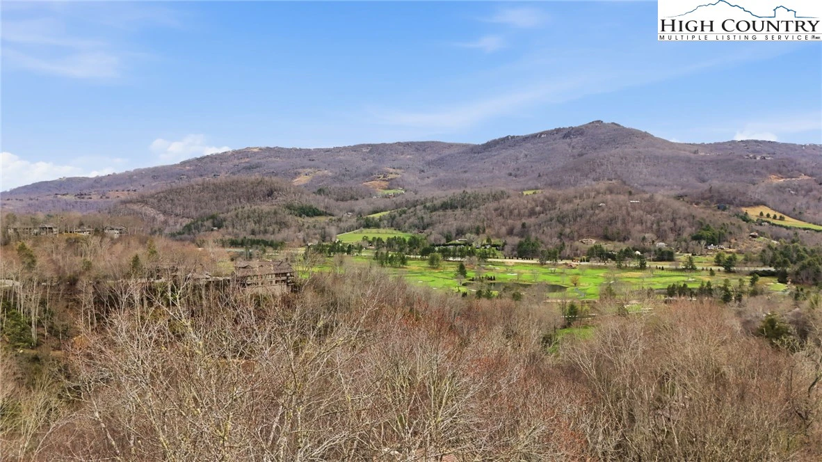 Image number 1 for the current listing