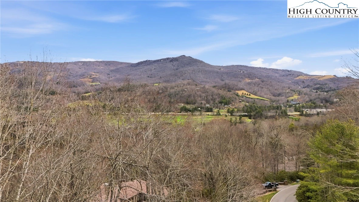Image number 14 for the current listing