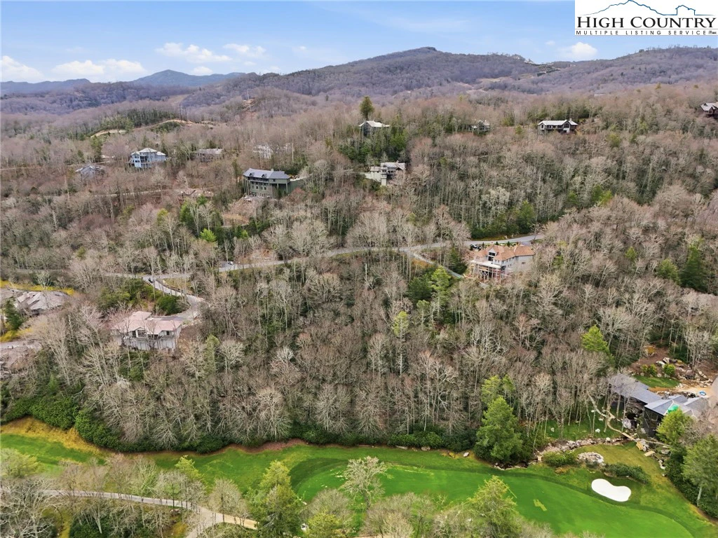 Image number 11 for the current listing