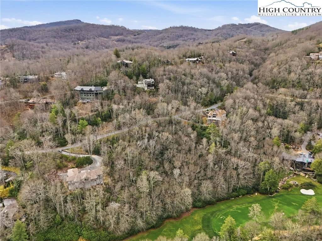Image number 2 for the current listing