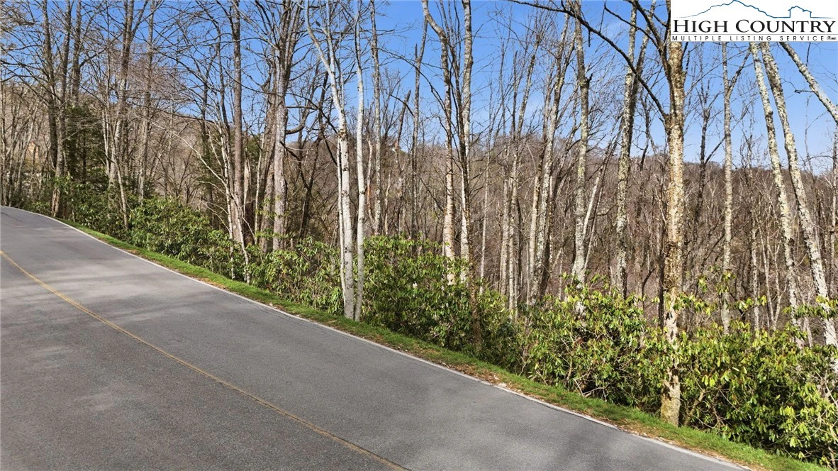 Image number 7 for the current listing