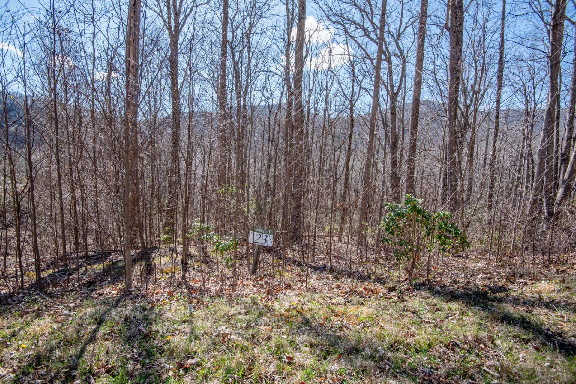 Image number 3 for the current listing