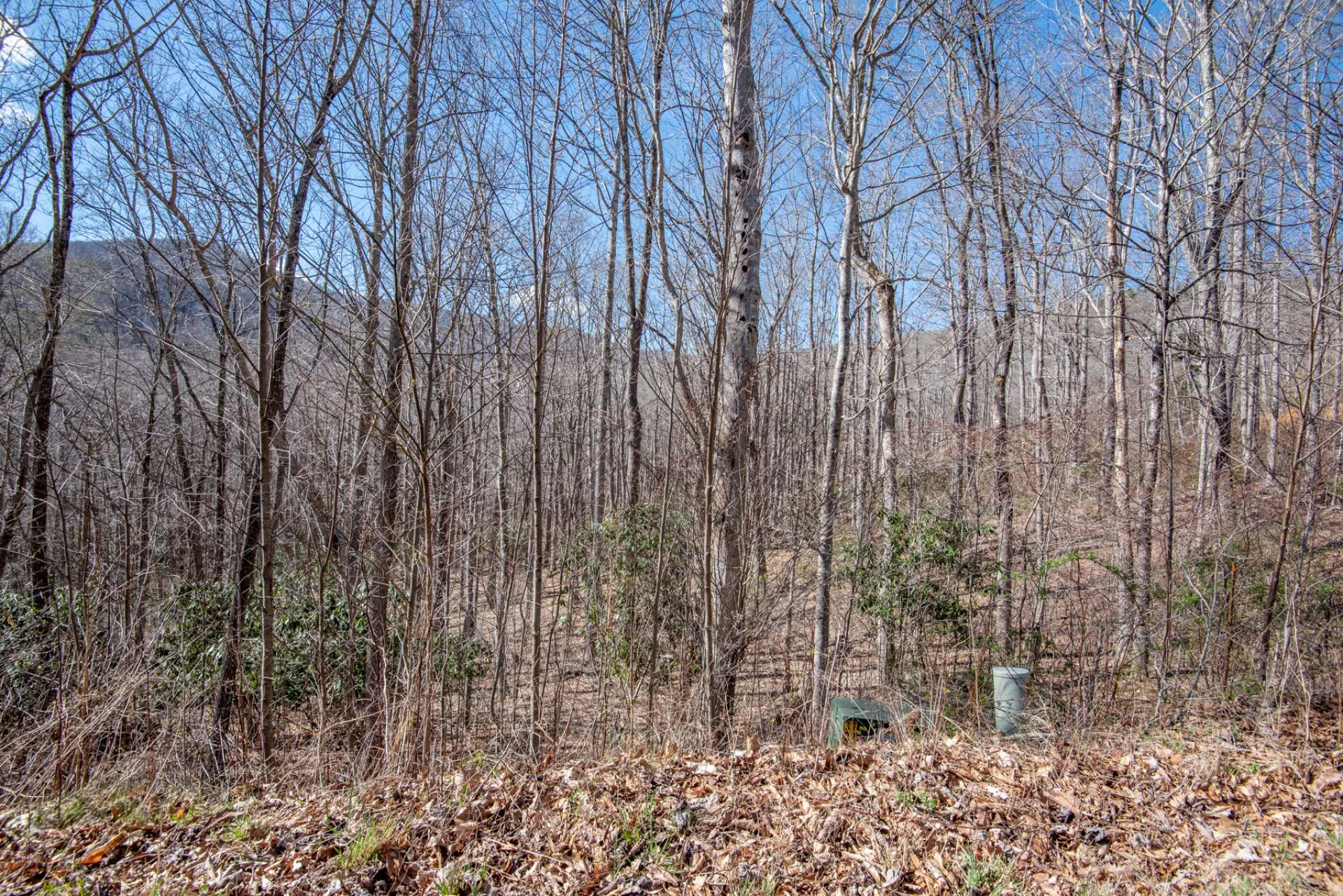 Image number 4 for the current listing
