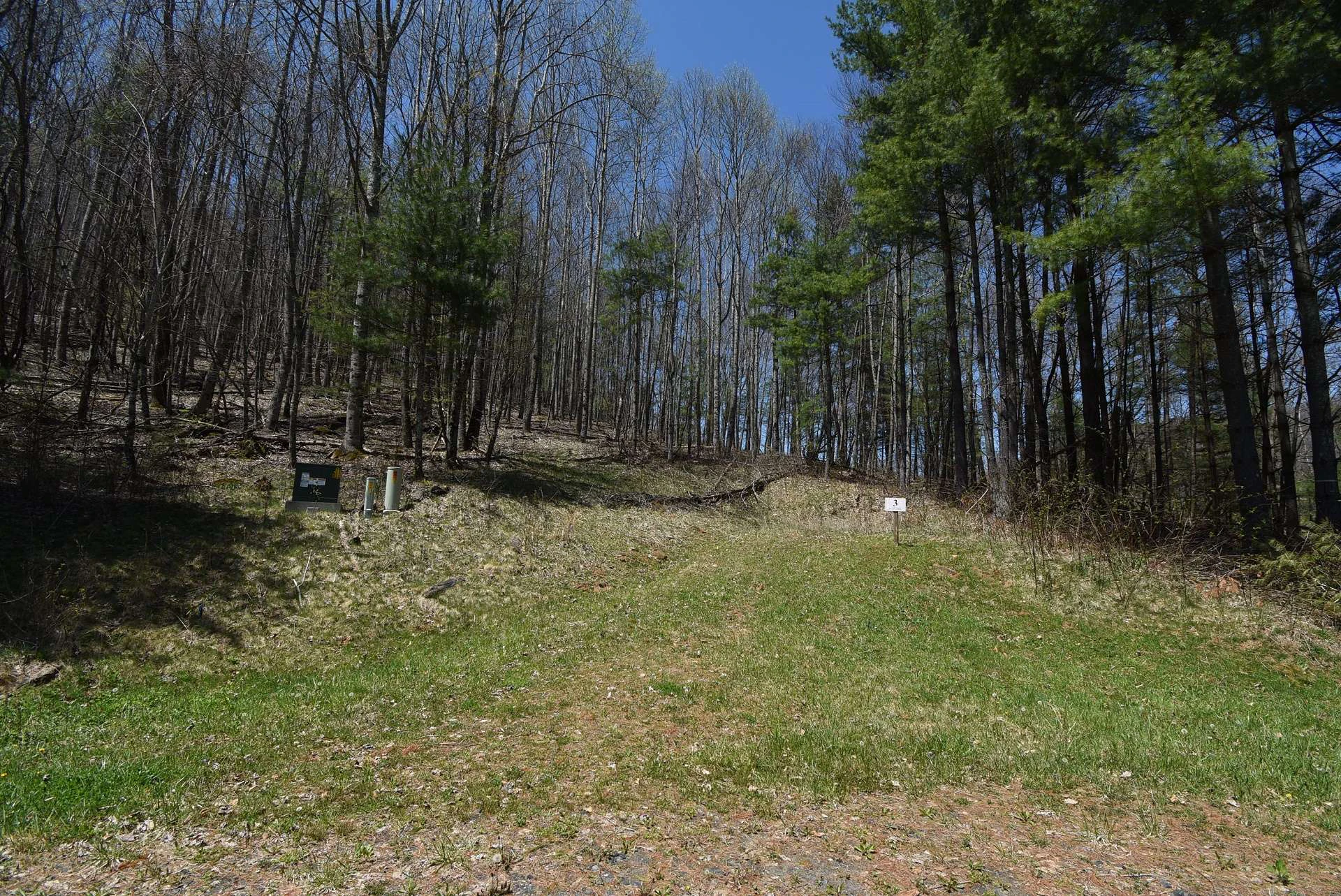 Image number 7 for the current listing