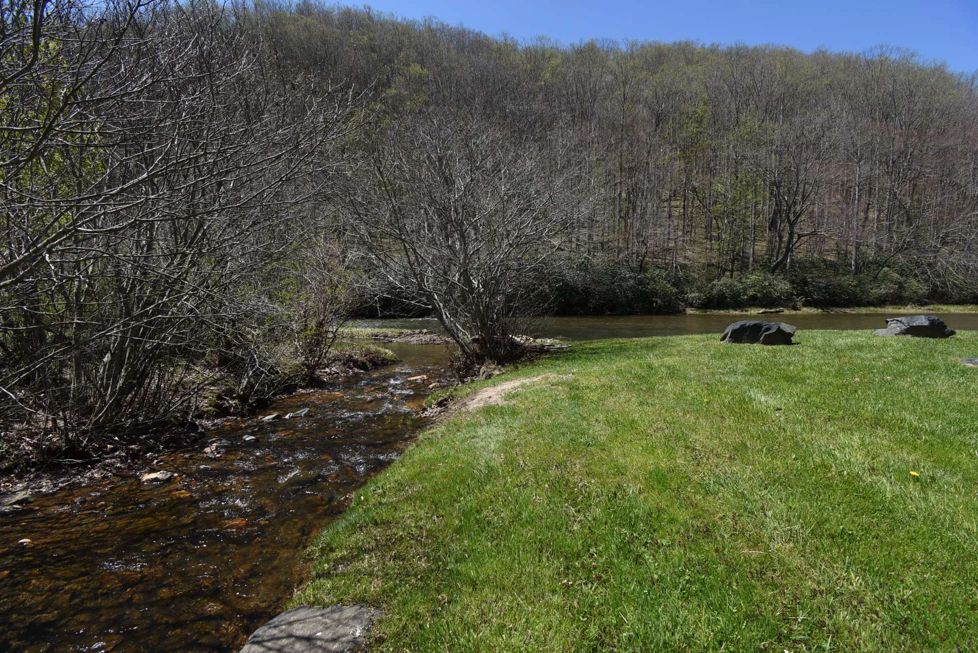 Image number 6 for the current listing