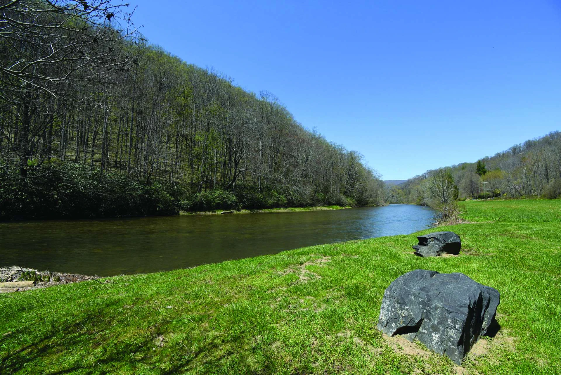 Image number 3 for the current listing