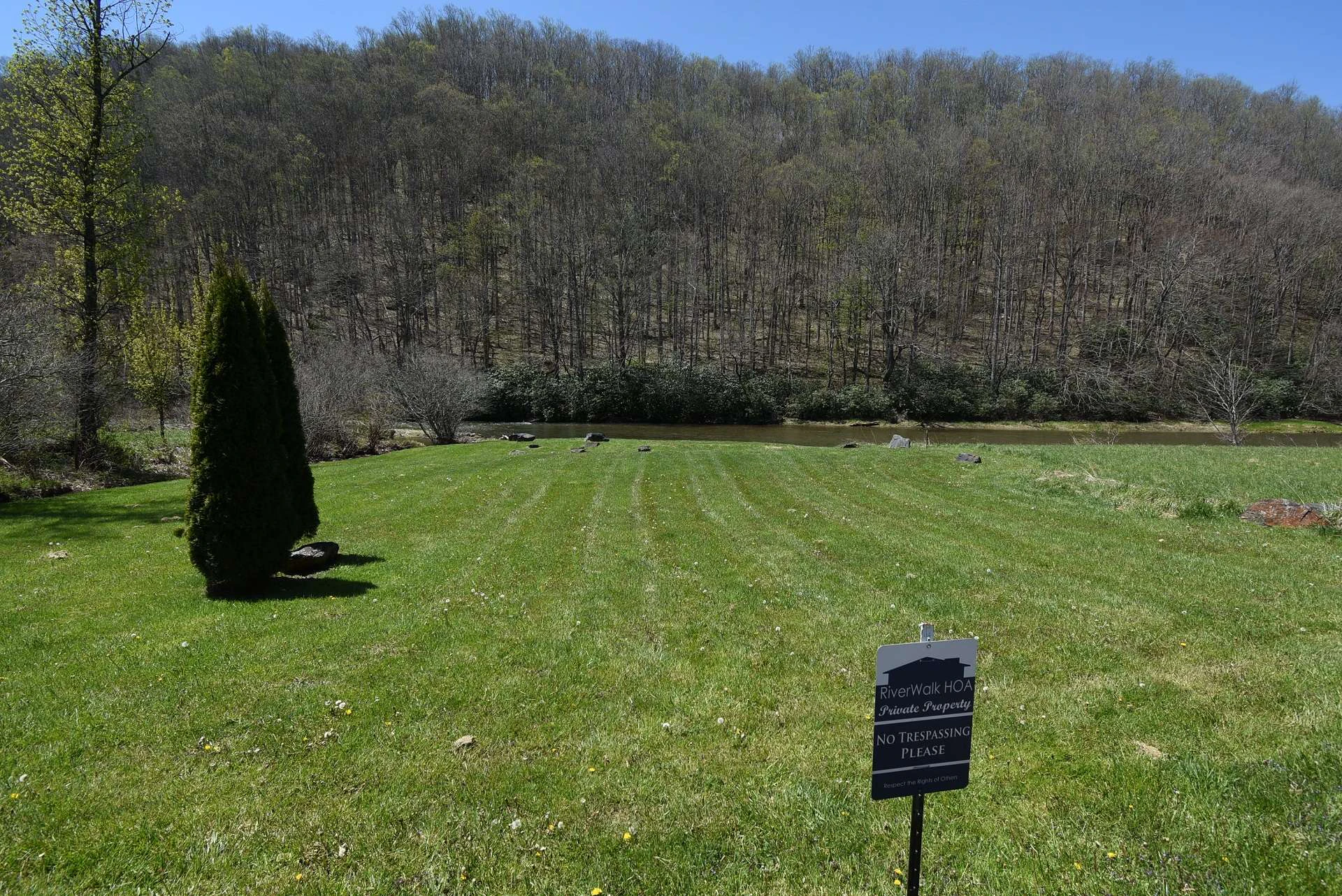 Image number 4 for the current listing