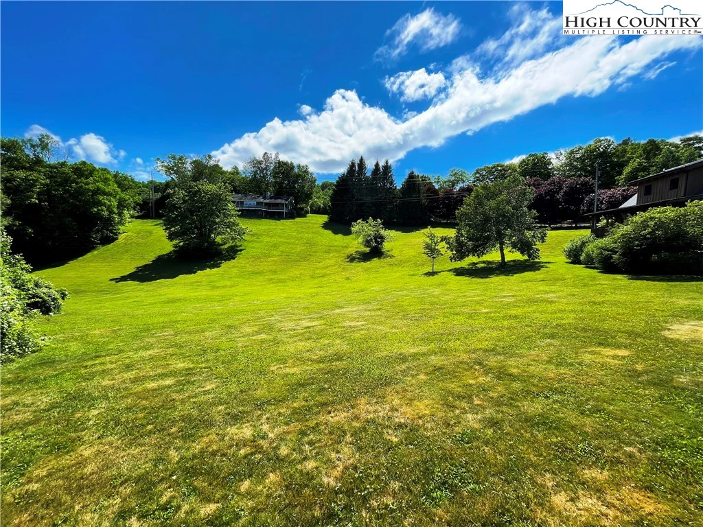 Image number 1 for the current listing