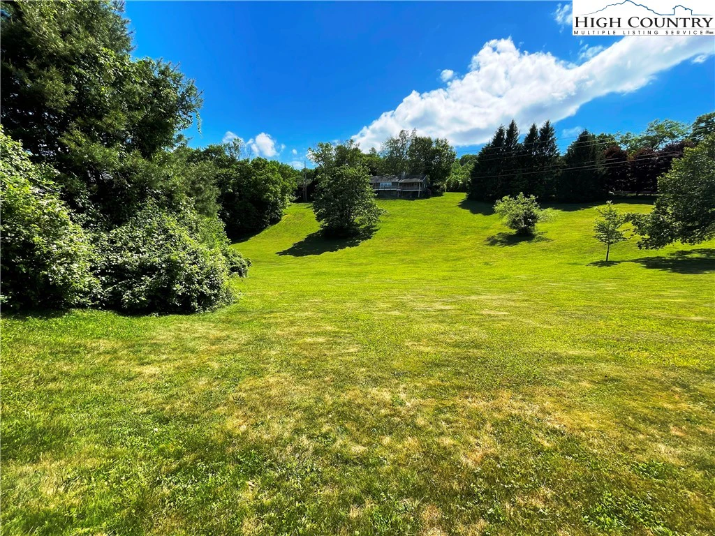 Image number 4 for the current listing