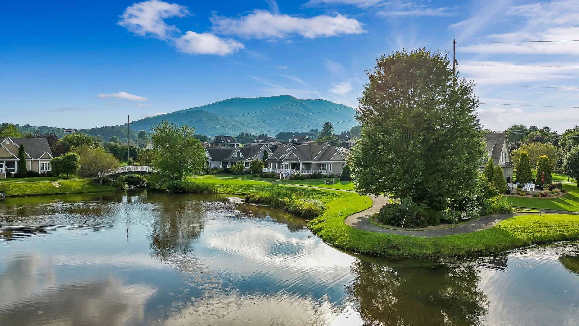 Image number 19 for the current listing
