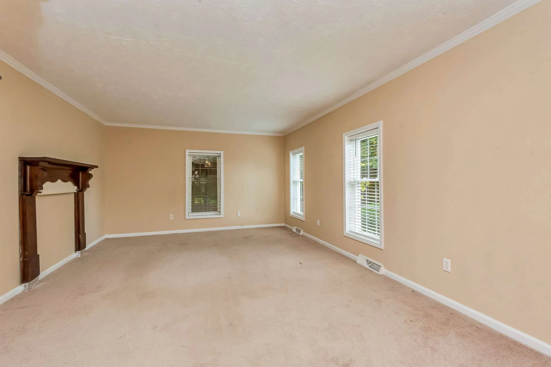 Image number 5 for the current listing