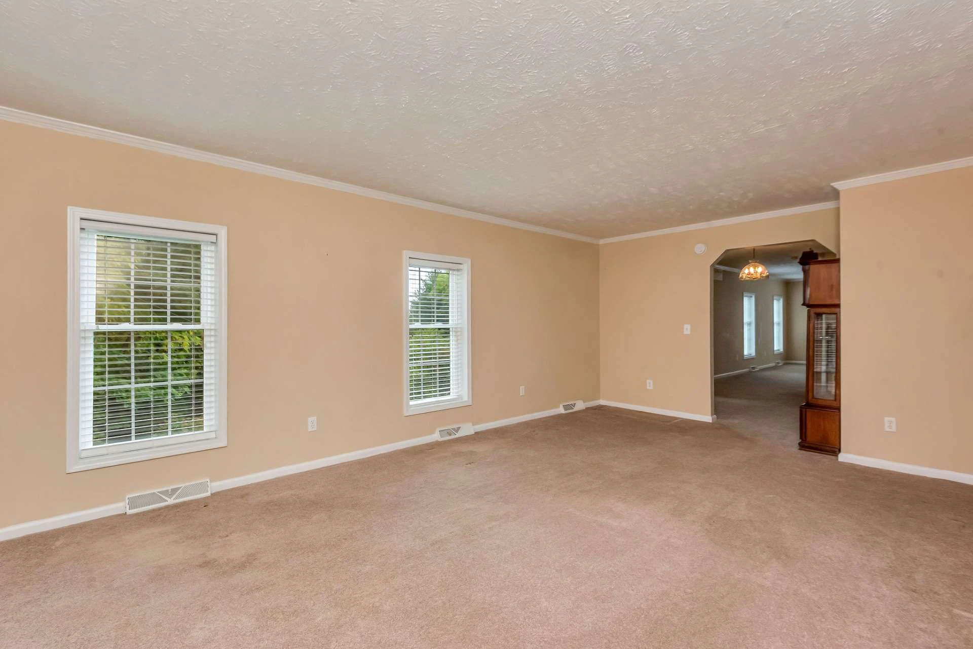 Image number 7 for the current listing