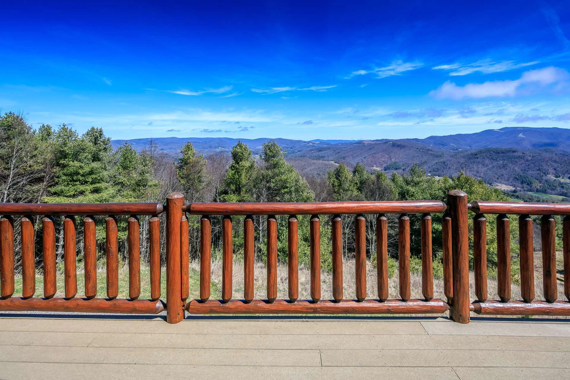 Image number 13 for the current listing
