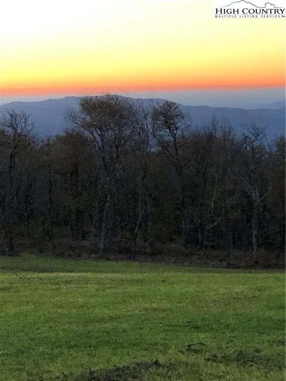 Image number 1 for the current listing