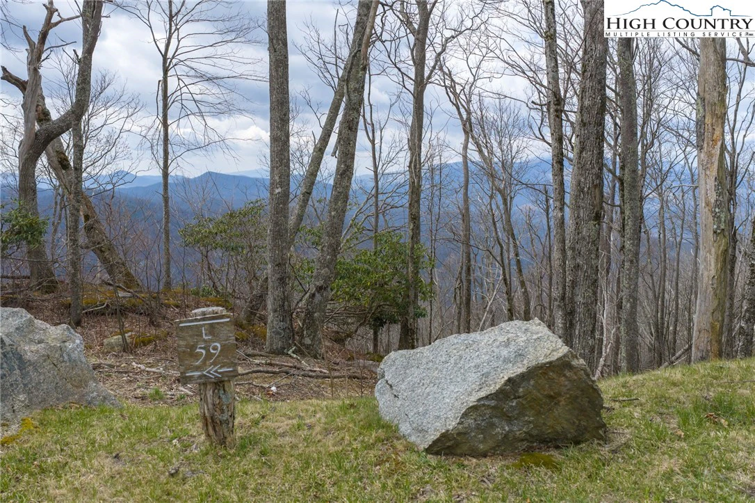 Image number 3 for the current listing