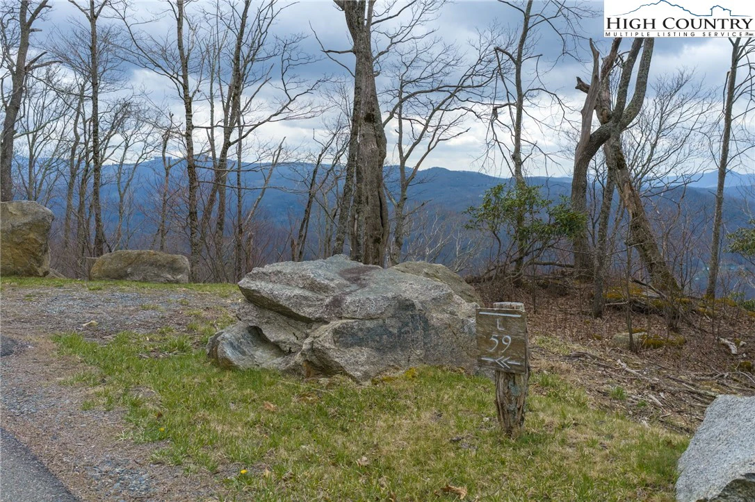 Image number 4 for the current listing