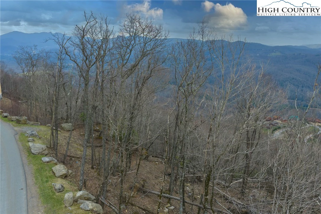 Image number 5 for the current listing