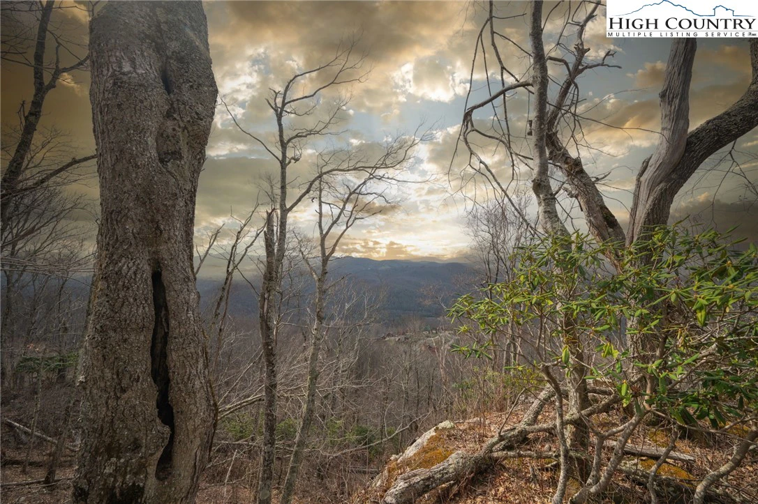 Image number 1 for the current listing