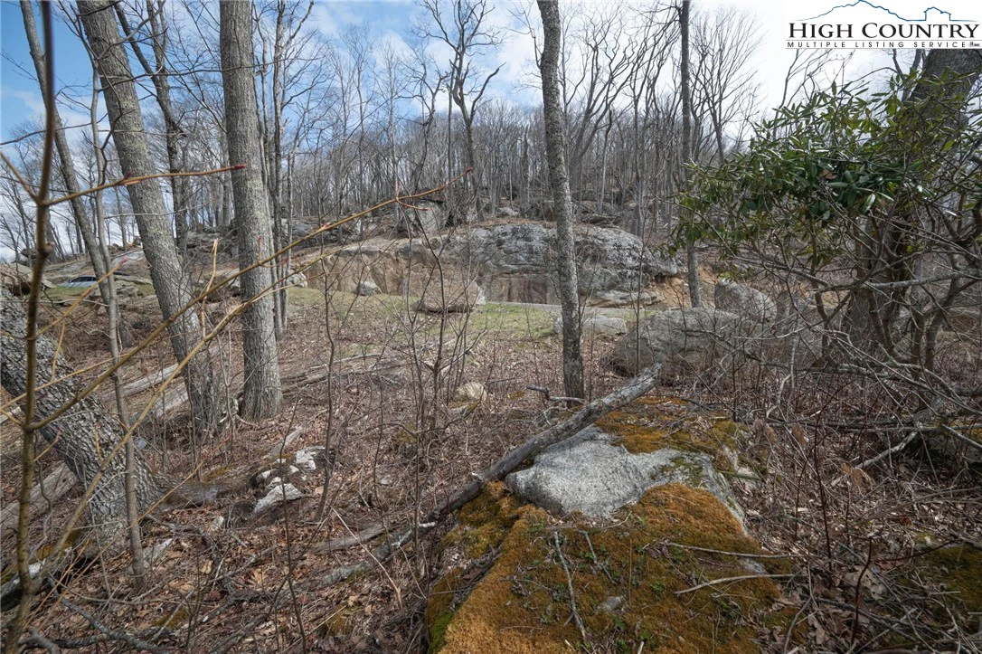 Image number 22 for the current listing