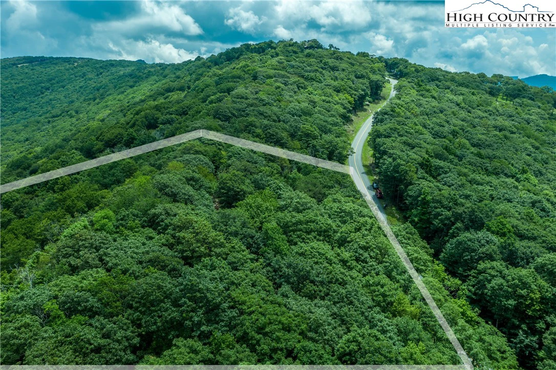Image number 1 for the current listing