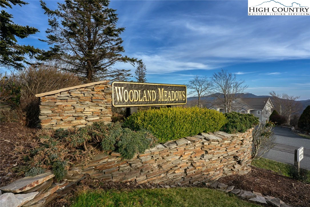 Image number 1 for the current listing