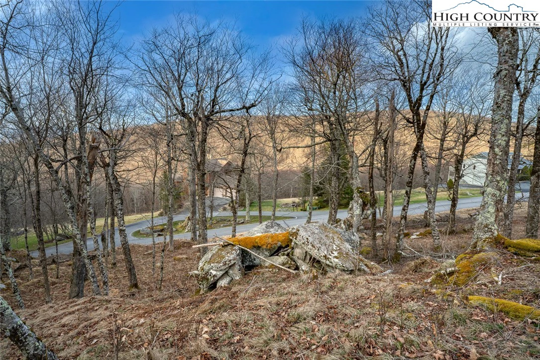 Image number 14 for the current listing