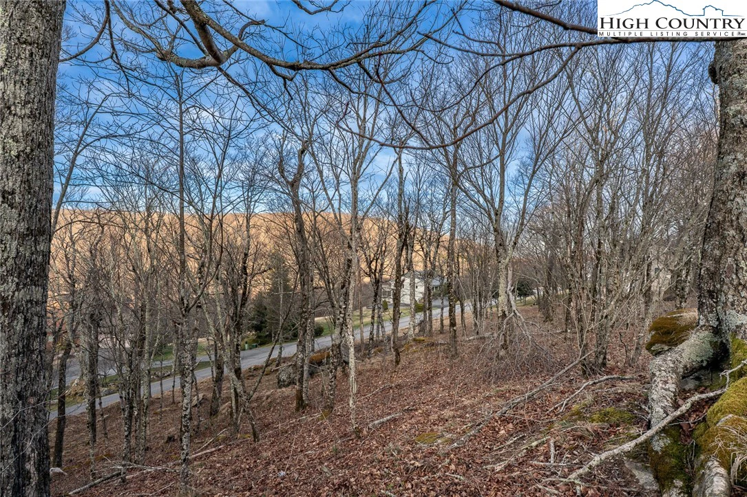 Image number 13 for the current listing
