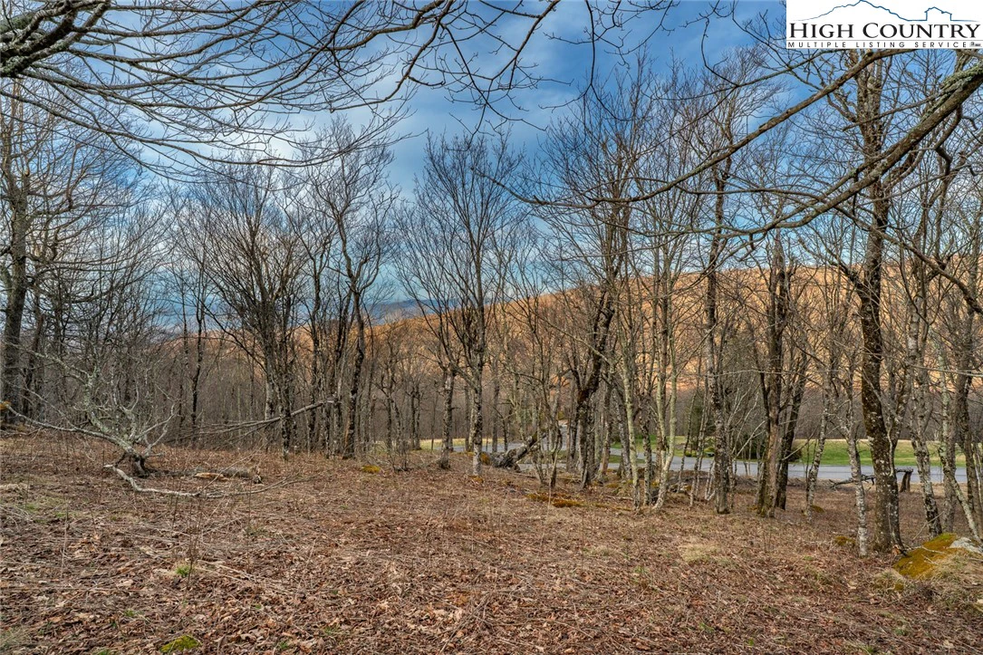 Image number 2 for the current listing