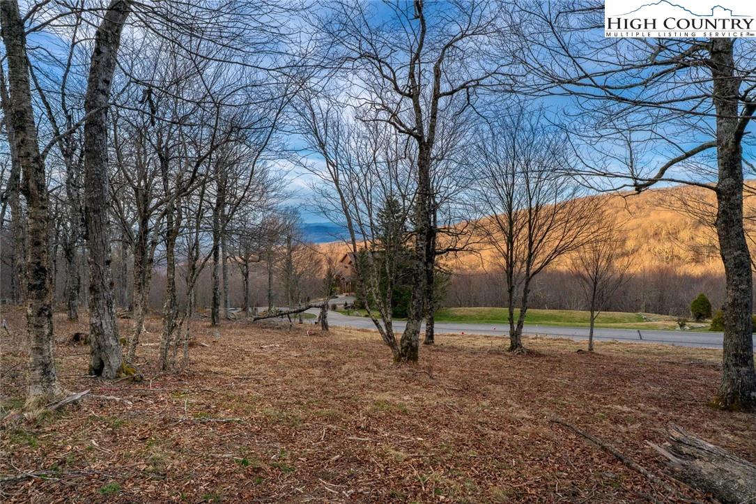 Image number 12 for the current listing